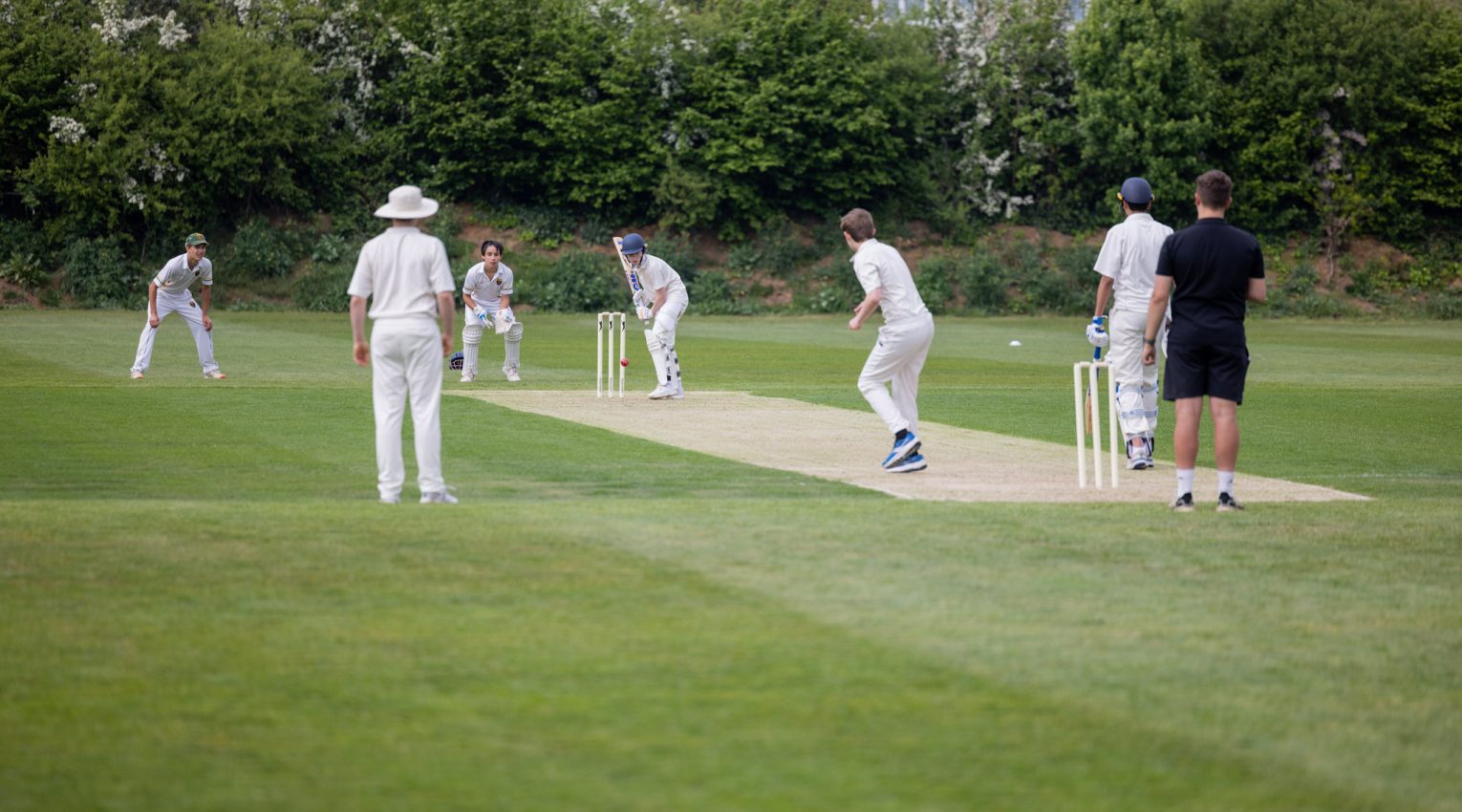 Wetherby Senior pupils enjoy a cricket match at Ealing Trailfinders